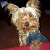 Veronica Ganora - @veronica.ganora - TikTok