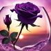 Veronica Goodman - Facebook