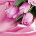 Veronica Gore - Facebook