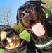 Veronica Greco - Facebook