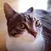 Veronica Harrell469 - @veronicaharrell46 - TikTok