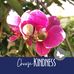 Veronica Harvey - Facebook