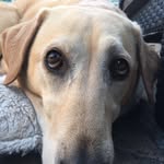 Veronica Hay - @veronicahay6 - Instagram
