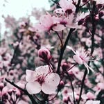 Verónica heard - @heard4118 - Instagram
