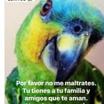Veronica Henriquez - @veronica.henriquez.50159 - Instagram