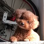 Veronica Hong - Facebook