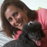 Verônica Pet House - @veronicabrandaocosta - Instagram