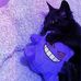 Veronica Howell - Facebook