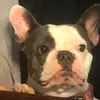 Veronica Kasper - @verokas8990 - TikTok