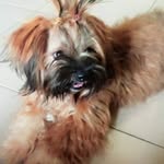 @veronicakeith1232021 - Instagram