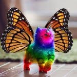 Veronica Kerr - @random1423581372748629 - Instagram