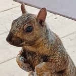 Veronica Kirk - @veronica.kirk.3304 - Instagram