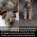 Veronica Landeros - Facebook