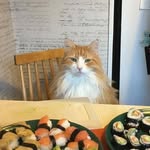 Veronica Lindberg - @veronica.lindberg.7 - Instagram
