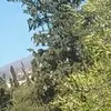 Veronica Luque - @veronica.luque36 - TikTok