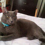 veronica lyles - @cancerhorse66 - Instagram