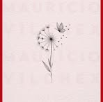Veronica Maciel - Facebook