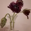 veronicamadden7 - @veronicamadden7 - TikTok