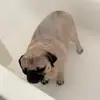 Vero - @veronicamalena559 - TikTok