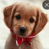 Veronica Makhamberac@gmail.com - @veronica.makhambe - TikTok