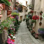Veronica Marotta - Facebook