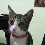 Verónica Marulanda Fernández - @marula1991 - Instagram