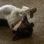 vee - @veronicamason_ - Instagram