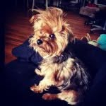 Veronica Mason - @veronicaknowshair - Instagram