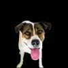 veronicamatthews51 - @veronicamatthews5 - TikTok