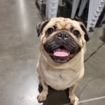 Veronica Mayne - @acinorev_ron - Instagram