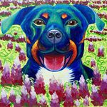 Veronica McElroy - @mccessoriesnb - Instagram
