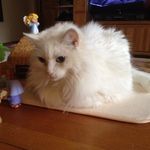 Veronica Mcglothlin - @vmcglothlin2626 - Instagram
