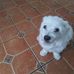Veronica McHenry - Facebook
