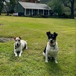Veronica McKellar - @vbomb77 - Instagram