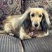 Veronica McIntosh McLendon - Facebook
