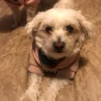 Veronica Mcsween - Facebook