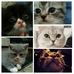Veronica McWilliams - Facebook