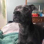 Veronica Vickery Meek - @vickerymeek - Instagram