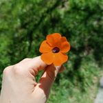 Veronica Meier - @mvmeier_ - Instagram