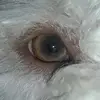 Veronica Meloni941 - @veronicameloni16 - TikTok