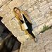 Veronica Lo Monaco - Facebook