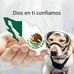Veronica Fernandez Negrete - Facebook