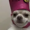 Veronica Nevarez - @vero.nsq - TikTok