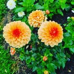 Veronica Olofsson - Facebook