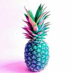 Veronica  Oswald - @oswald.veronica - Instagram