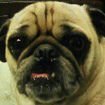 @veronica_and_otis_ - Instagram