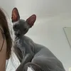 YODA/R2 - @veronicapack1 - TikTok