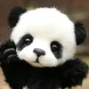 Veronica Panda 🐼 - @user1565783417672 - TikTok