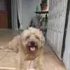 Veronica Pardini - @veronica.pardini5 - TikTok