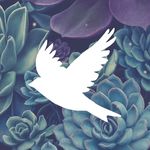 Veronica Park - @veetronic - Instagram